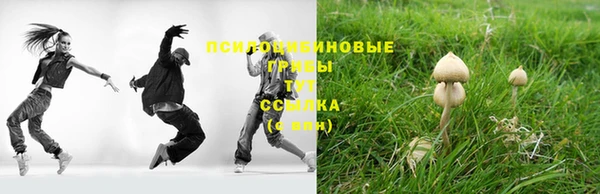 каннабис Дмитров