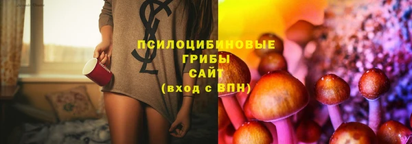 амф Дмитриев