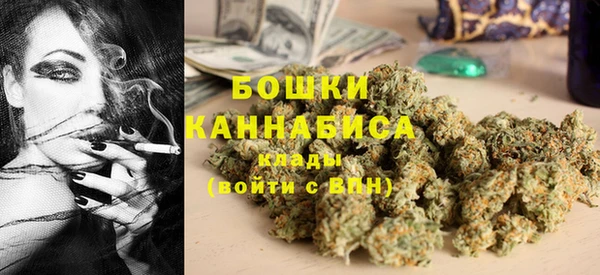 Альфа ПВП Ельня