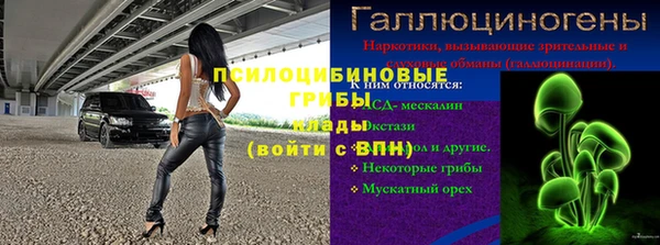 амф Дмитриев