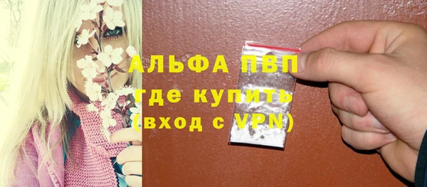 Альфа ПВП Елизово