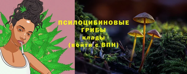 mdpv Елабуга