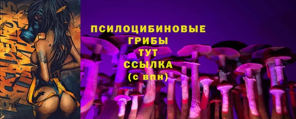 Альфа ПВП Елизово