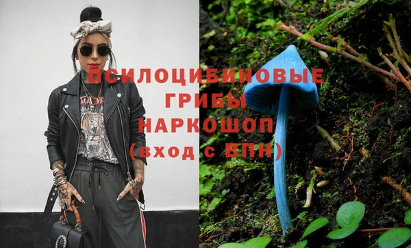 mdpv Елабуга