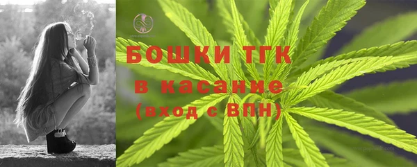 mdpv Елабуга